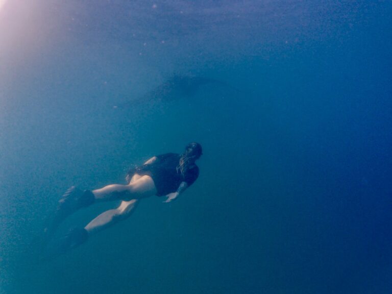 Magischer Moment mit Manta