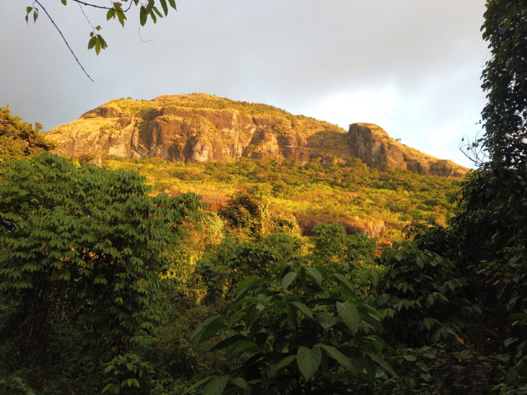 Koroyanitu Nationalpark