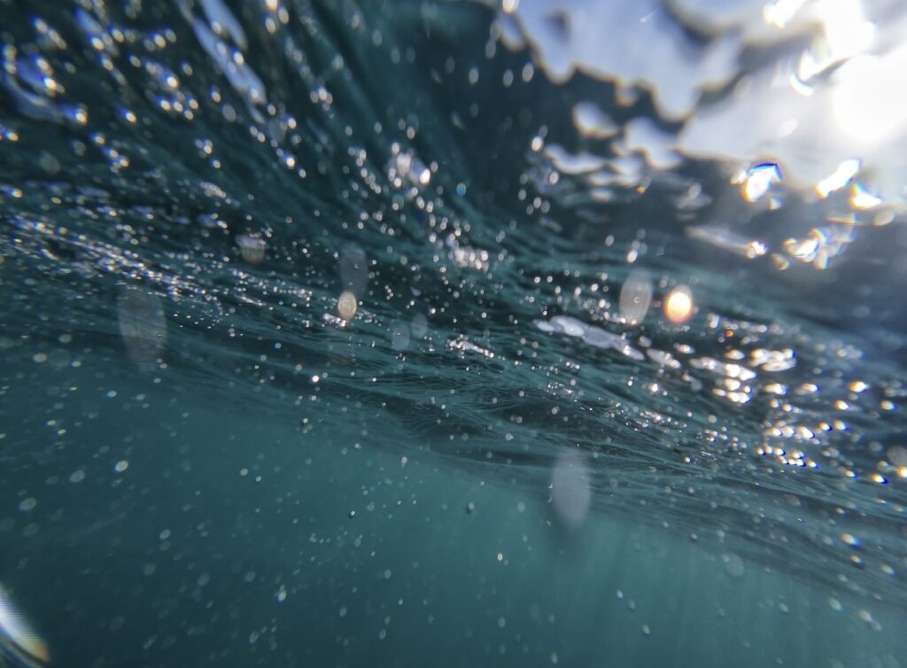 Unterwasseraufnahme mit der neuen Kamera