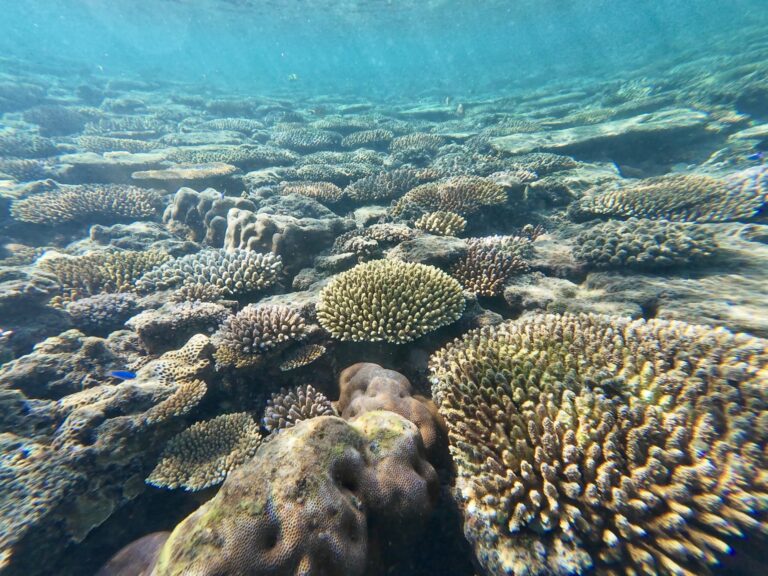 dji_export_20250713_photo_0013