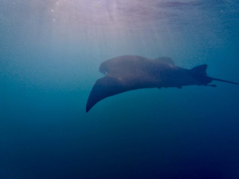 dji_export_20250713_photo_0005